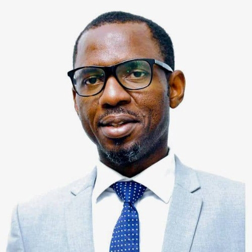 Chris Edeh (Director of Partnership at Africa Sustainable Energy Association (ASEA))